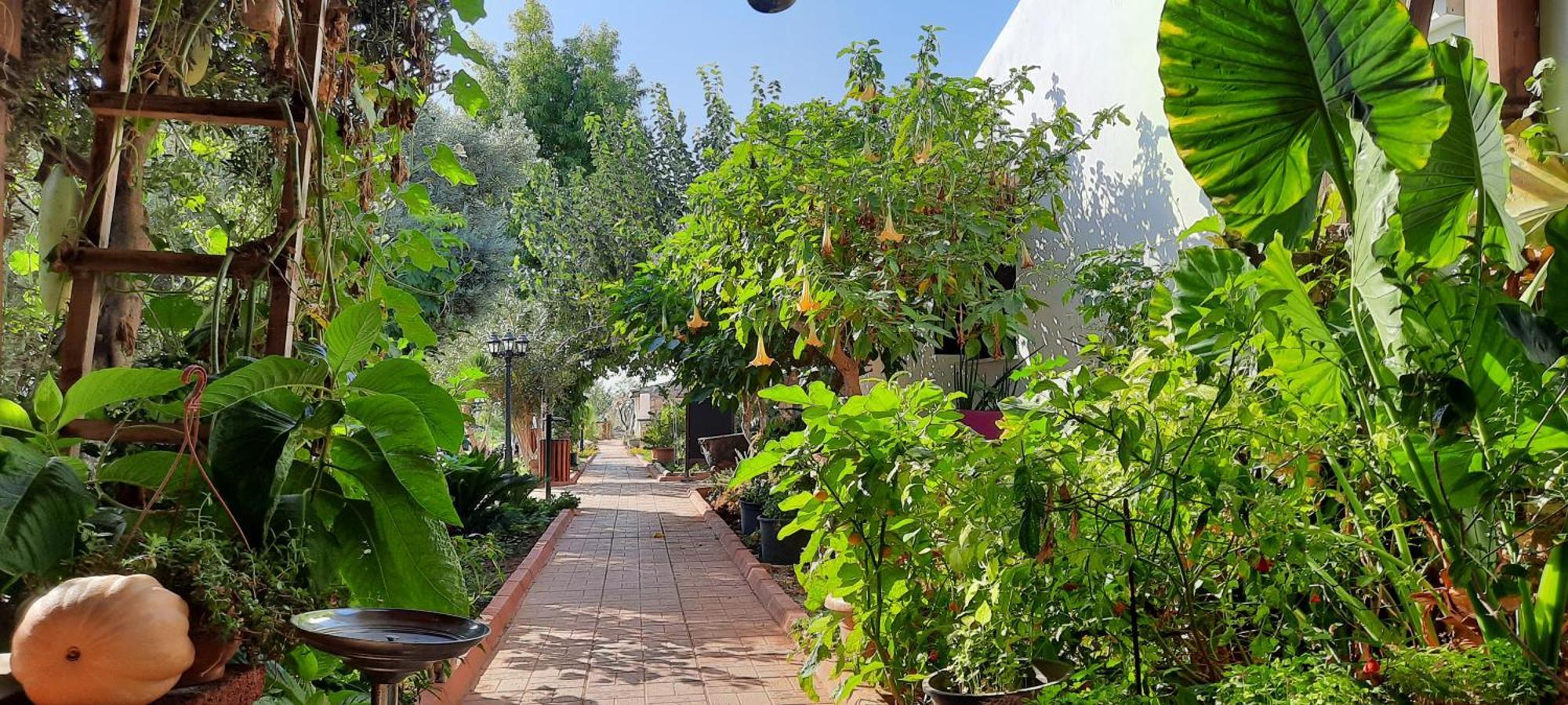 Apartament Osman Aga Culture House Famagusta  Zewnętrze zdjęcie